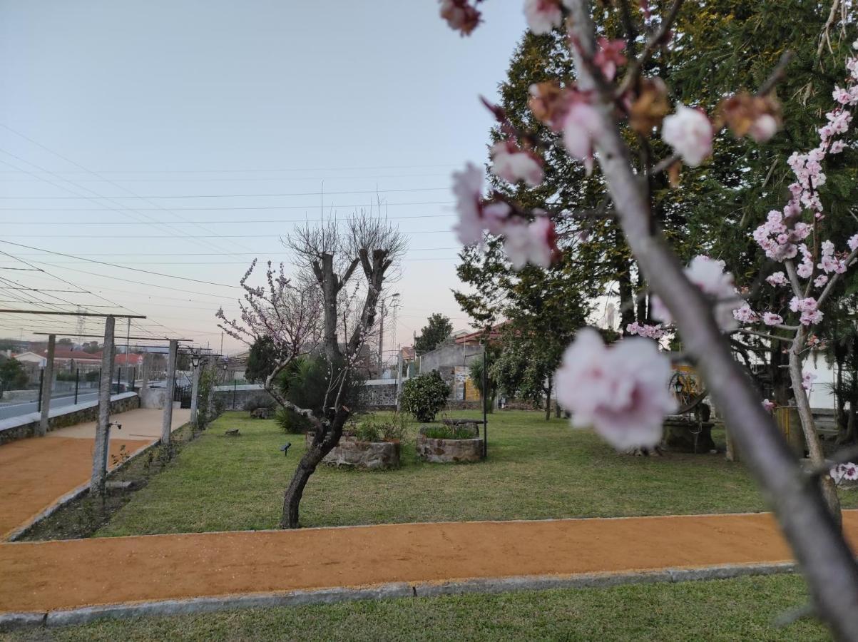 Quinta Do Gestal - Soutelo Apartment Vila Verde  Ngoại thất bức ảnh